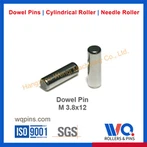 Fixed Dowel Pins